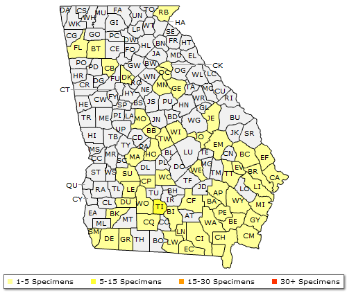 The range of Magnolia grandiflora